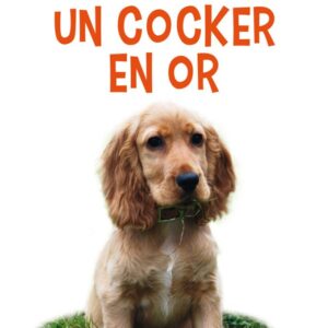Un cocker en or